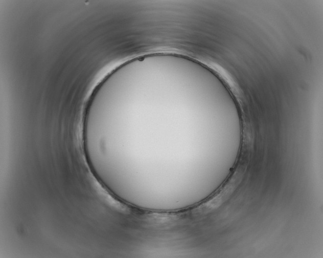 X0000111890910200908131652