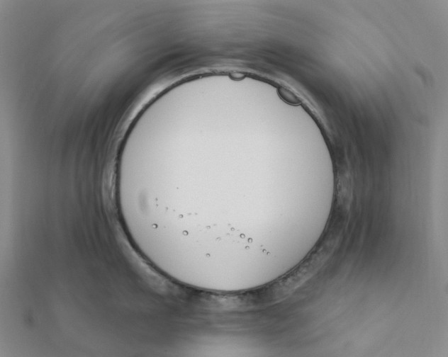 X0000111890911200908131652