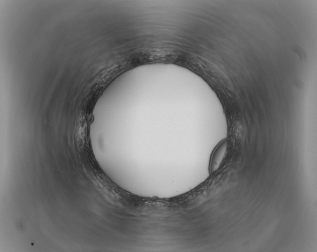 X0000111890914200908131651