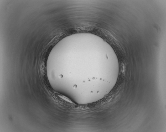 X0000111890915200908131651