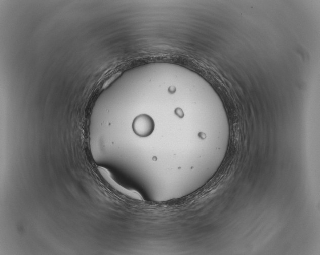 X0000111890916200908131651