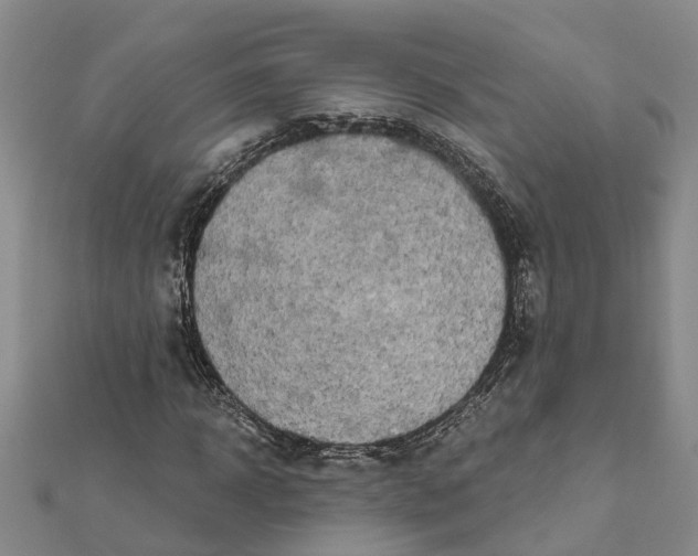 X0000111890918200908131651