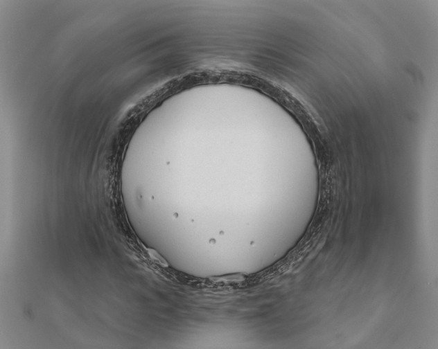 X0000111890919200908131651