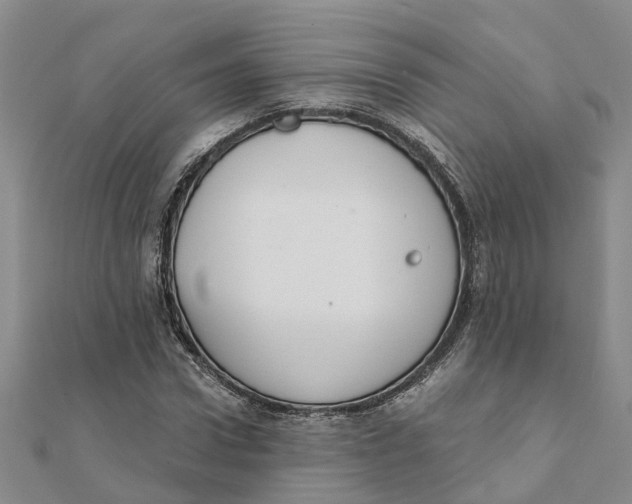 X0000111890922200908131651