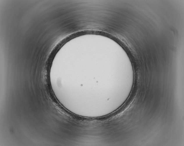 X0000111890926200908131651