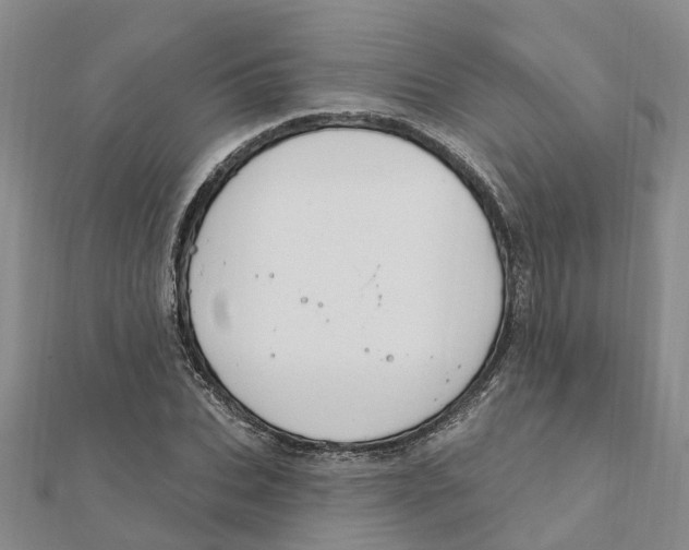 X0000111890927200908131651