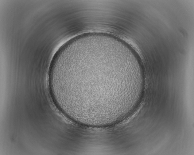 X0000111890928200908131651