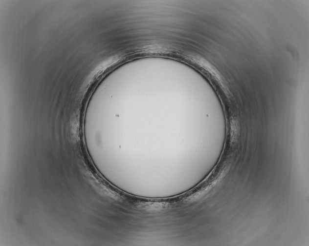 X0000111890930200908131651