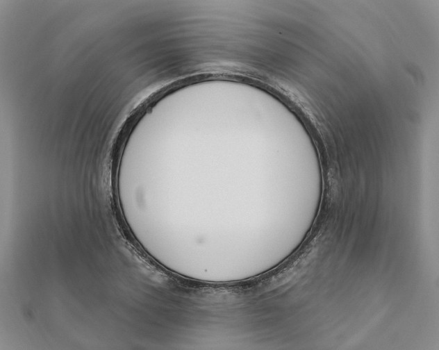 X0000111890931200908131651