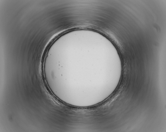 X0000111890932200908131651