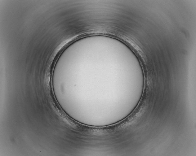 X0000111890933200908131651