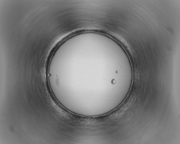 X0000111890935200908131651