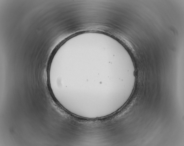 X0000111890936200908131651