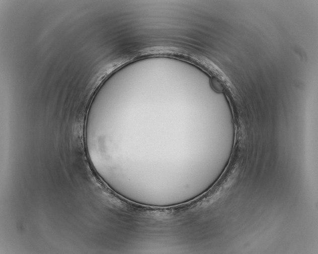 X0000111890937200908131651