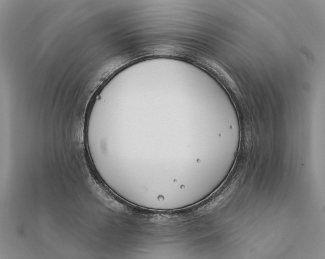 X0000111890938200908131651