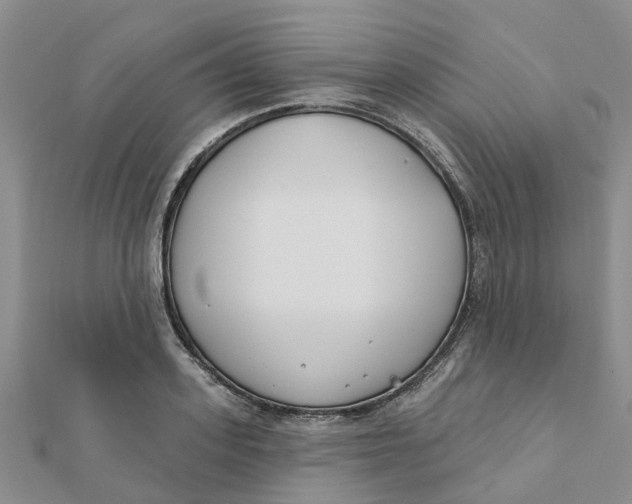 X0000111890939200908131651