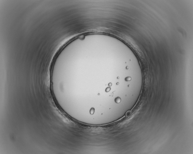 X0000111890940200908131651