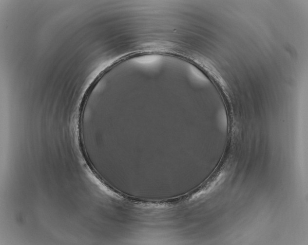 X0000111890941200908131651