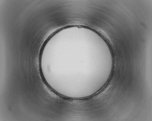 X0000111890942200908131651