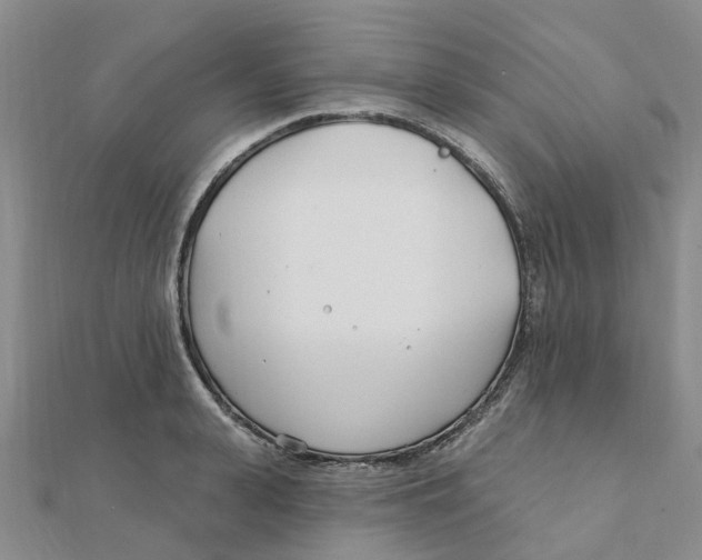 X0000111890943200908131652