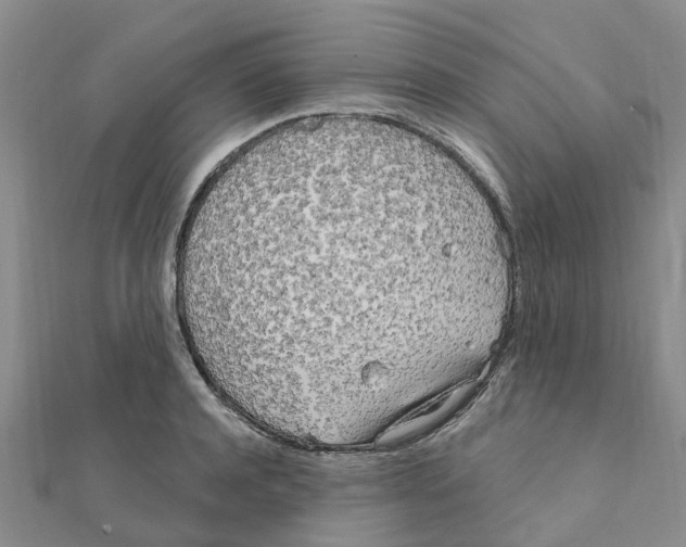 X0000111890944200908131652