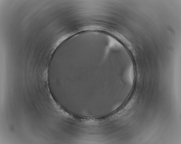 X0000111890945200908131652