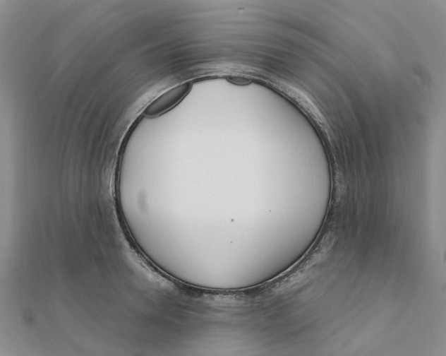 X0000111890946200908131652