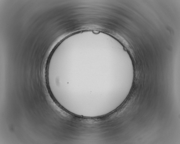 X0000111890947200908131652