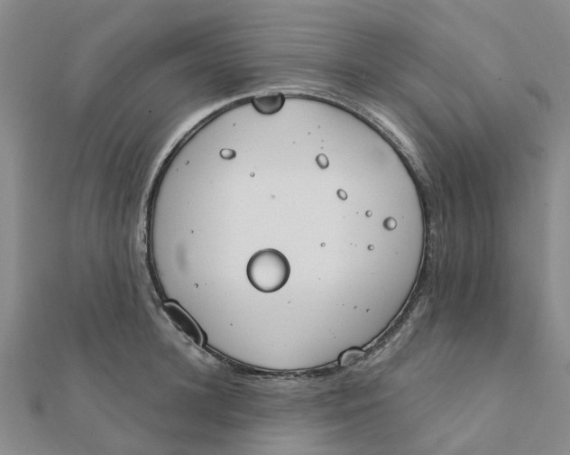 X0000111890948200908131652