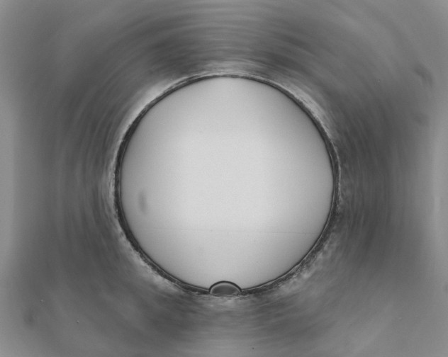 X0000111890949200908131652