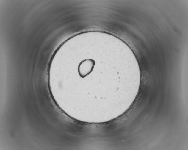 X0000111890950200908131652