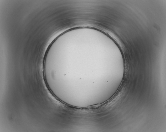 X0000111890951200908131652