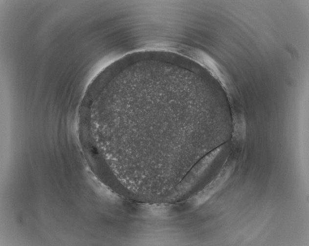 X0000111890952200908131652