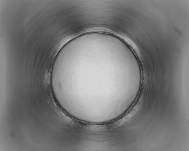 X0000111890953200908131652