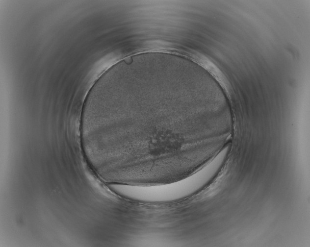 X0000111890954200908131652