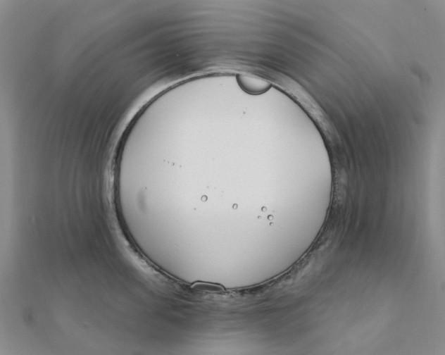 X0000111890955200908131652