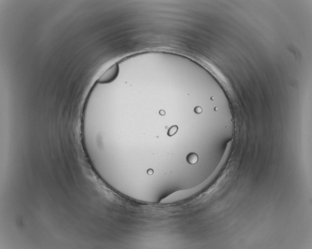 X0000111890956200908131652