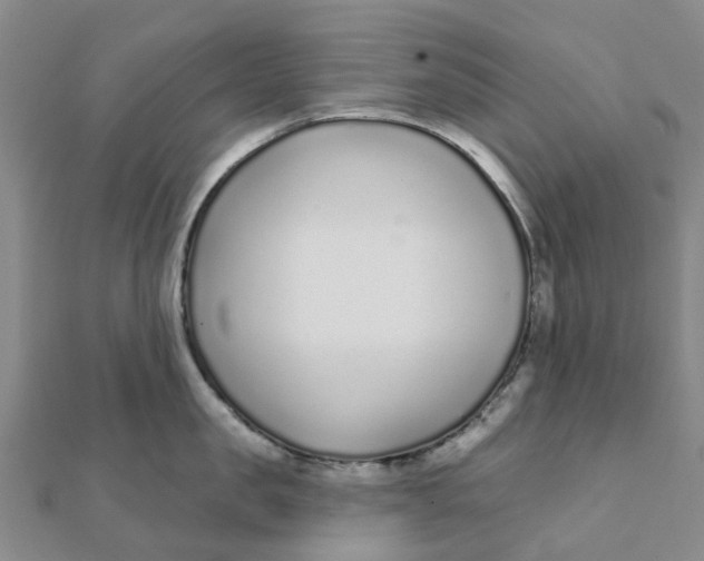 X0000111890957200908131652