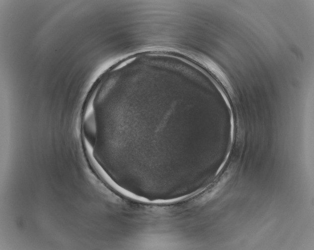 X0000111890958200908131652