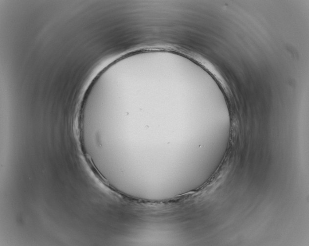 X0000111890959200908131652