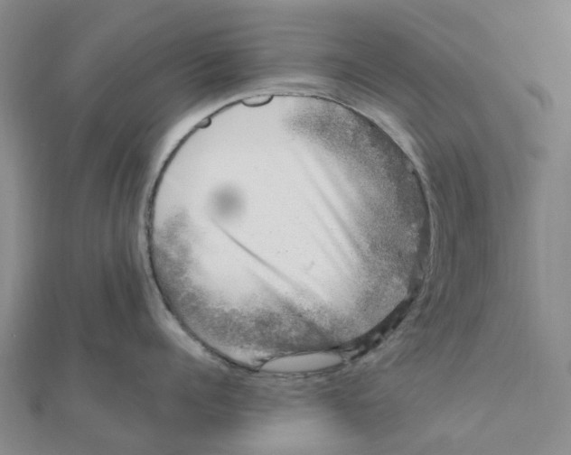 X0000111890960200908131652