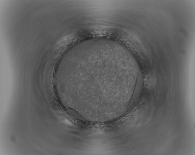 X0000111890961200908131651