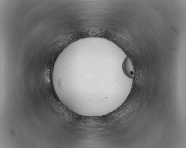 X0000111890962200908131651