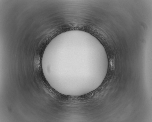 X0000111890963200908131651