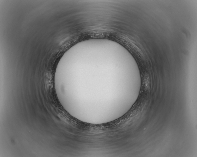 X0000111890964200908131651