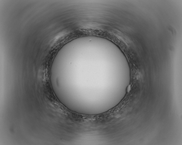 X0000111890965200908131651