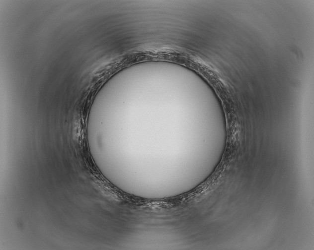 X0000111890966200908131651