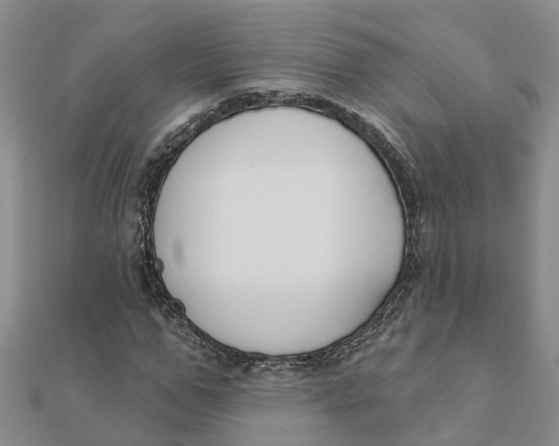 X0000111890967200908131651