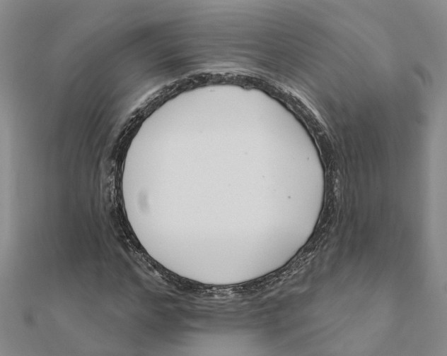 X0000111890968200908131651