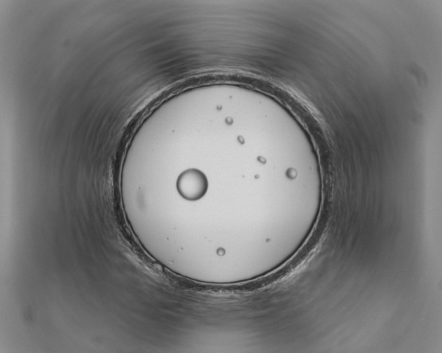 X0000111890969200908131651